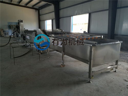 諸城有為公司 深耕蘋果清洗設備領域，服務海南與家用市場